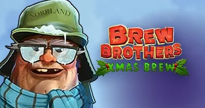 Brew Brothers Xmas Brew